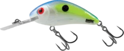Big Eye Spinnerbaits 4.5 Sexy Shad Rattlin Hornet