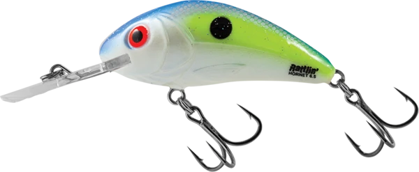 Big Eye Spinnerbaits 6.5 Sexy Shad Rattlin Hornet Hard Baits 3 Big Eye Spinnerbaits 6.5 Sexy Shad Rattlin Hornet Hard Baits