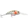Big Eye Spinnerbaits Hard Baits Baby Gobee Banshee