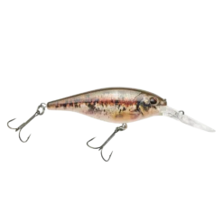 Pure Fishing Berkley HD Blacknose Dace Flicker Shad