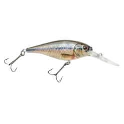 Pure Fishing Berkley HD Fathead Minnow Flicker Shad