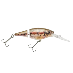 Pure Fishing Berkley HD Blacknose Dace FS Jointed