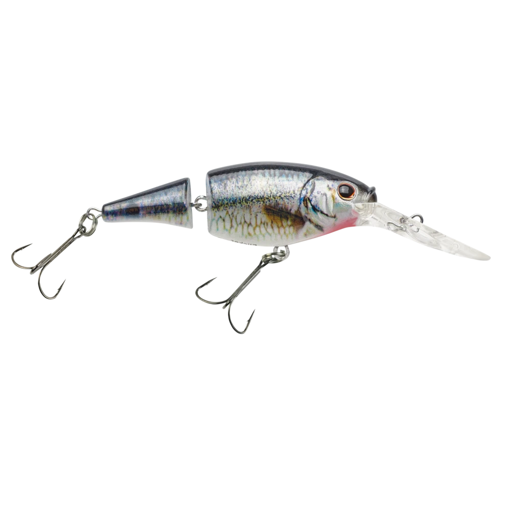 Pure Fishing HD Spottail Shiner FS Jointed 3 Pure Fishing HD Spottail Shiner FS Jointed