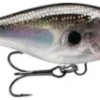 Big Eye Spinnerbaits Rapala Glass Black