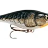 Big Eye Spinnerbaits Rapala RS Crawdad Hard Baits 1 Big Eye Spinnerbaits Rapala RS Crawdad Hard Baits