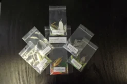 Big Eye Spinnerbaits Do The Trick Collection