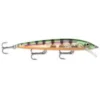 Big Eye Spinnerbaits Glass Perch Husky Jerk 1 Big Eye Spinnerbaits Glass Perch Husky Jerk