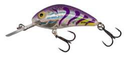 Salmo North America Holo Purple Tiger Rattlin Hornet