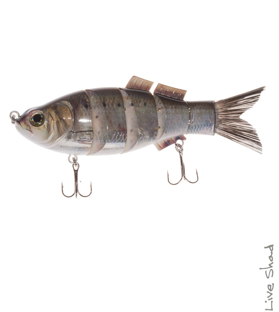 Pitman Creek Jenko Fishing Swim Bait 6in Live Shad 3 Pitman Creek Jenko Fishing Swim Bait 6in Live Shad