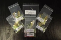 Big Eye Spinnerbaits Outwit Collection