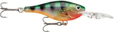 Big Eye Spinnerbaits Rapala Glass Perch 3 Big Eye Spinnerbaits Rapala Glass Perch