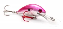Big Eye Spinnerbaits Pink Lady Vexan Rattlin Wasp