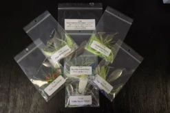 Big Eye Spinnerbaits Prevail Collection