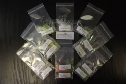 Big Eye Spinnerbaits Score Collection