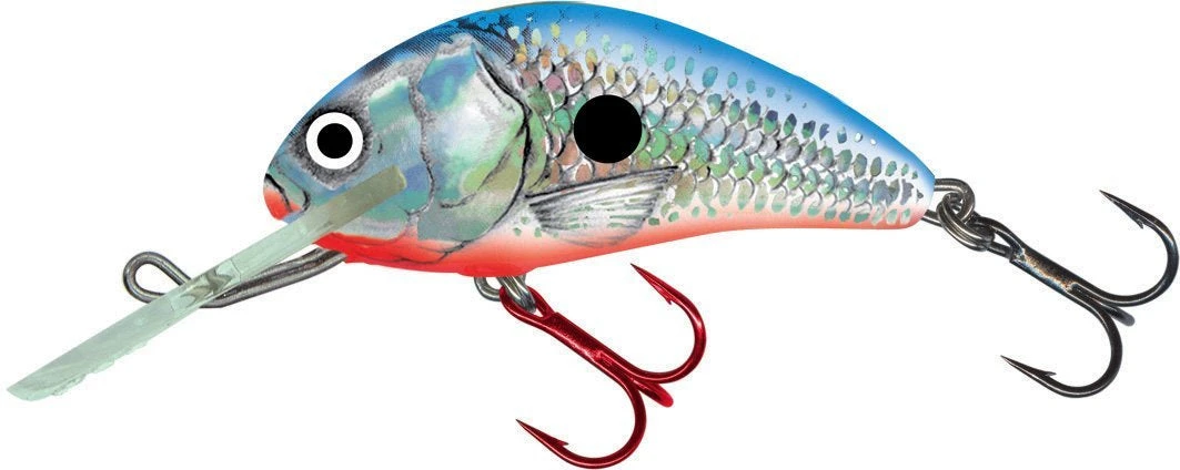 Big Eye Spinnerbaits Hard Baits 3.5 Silver Blue Shad Rattlin Hornet 3 Big Eye Spinnerbaits Hard Baits 3.5 Silver Blue Shad Rattlin Hornet