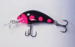 Big Eye Spinnerbaits Exclusive Super Coop Salmo Hornet Size 4 Hard Baits