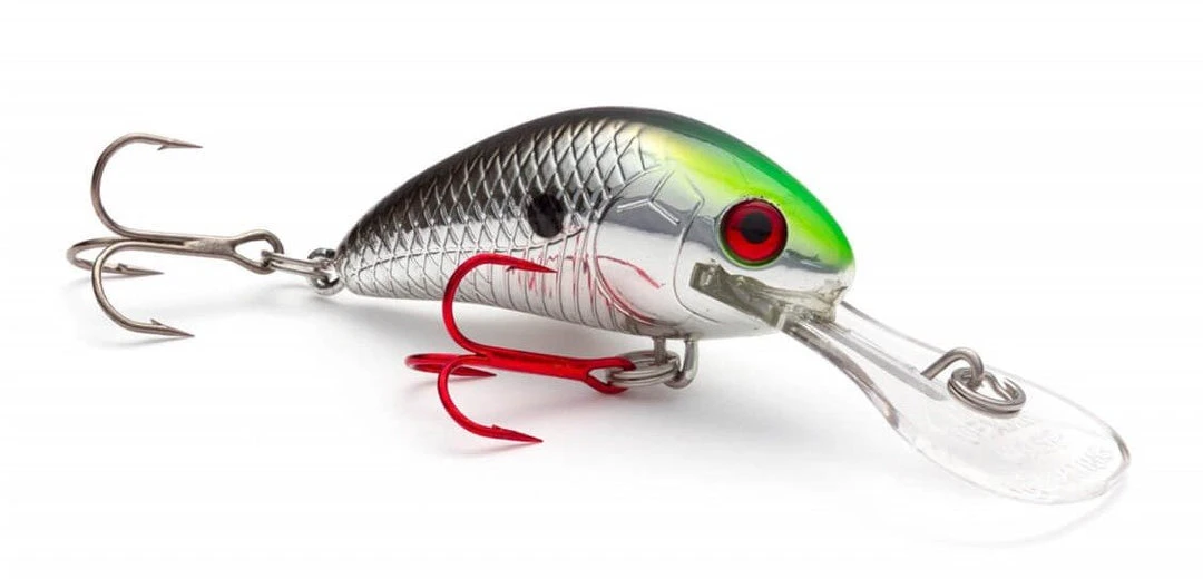 Big Eye Spinnerbaits Terminator II Vexan Rattlin Wasp Hard Baits 3 Big Eye Spinnerbaits Terminator II Vexan Rattlin Wasp Hard Baits