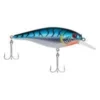 Big Eye Spinnerbaits Blue Tiger FS Shallow 2 Big Eye Spinnerbaits Blue Tiger FS Shallow