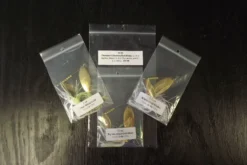 Big Eye Spinnerbaits Champion Collection