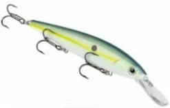 Big Eye Spinnerbaits Chartreuse Shad J300D KVD Jerk Bait