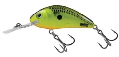 Big Eye Spinnerbaits 3.5 Chartreuse Shad Rattlin Hornet Hard Baits