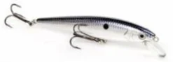 Big Eye Spinnerbaits Chrome Blue J200 KVD Jerk Bait