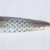 Big Eye Spinnerbaits Gold Spoon 1 Big Eye Spinnerbaits Gold Spoon