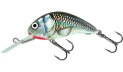 Big Eye Spinnerbaits Hard Baits Holo Grey Shiner