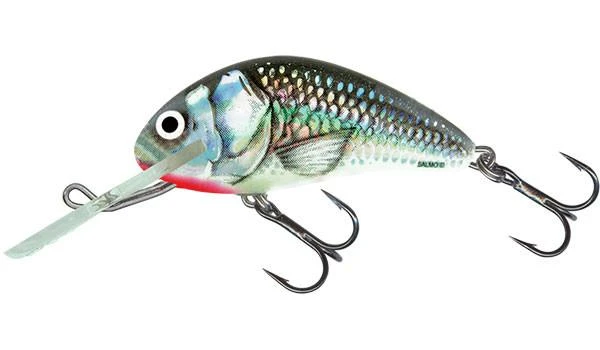 Big Eye Spinnerbaits Hard Baits Holo Grey Shiner 3 Big Eye Spinnerbaits Hard Baits Holo Grey Shiner