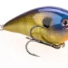 Big Eye Spinnerbaits KVD 1.5 Squarebill Blue Gill 2 Big Eye Spinnerbaits KVD 1.5 Squarebill Blue Gill