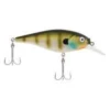 Big Eye Spinnerbaits MF Bluegill FS Shallow 2 Big Eye Spinnerbaits MF Bluegill FS Shallow
