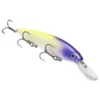 Big Eye Spinnerbaits Bass Lures Pro Purple Headed Hammer KVD J300D JB