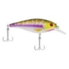 Big Eye Spinnerbaits Purple Tiger FS Shallow Hard Baits 2 Big Eye Spinnerbaits Purple Tiger FS Shallow Hard Baits