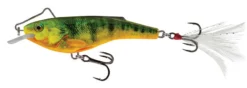 Salmo North America Supernatural Hot Perch Rail Shad