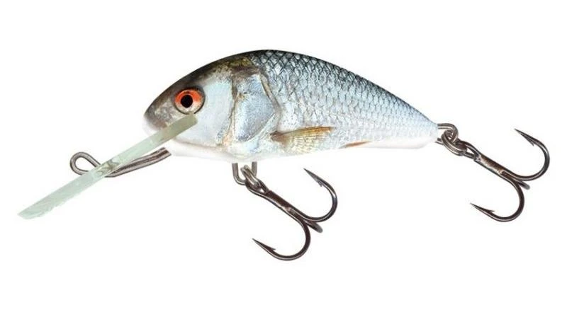 Big Eye Spinnerbaits Hard Baits Real Dace Hornet 3 Big Eye Spinnerbaits Hard Baits Real Dace Hornet