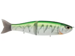 Rapala Storm Arashi Glide 19 Oikawa Mesu