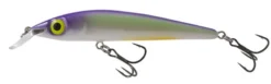 Salmo North America Table Rock Shad Rattlin Sting