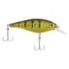 Big Eye Spinnerbaits Yellow Perch FS Shallow Hard Baits 2 Big Eye Spinnerbaits Yellow Perch FS Shallow Hard Baits