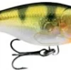 Big Eye Spinnerbaits Rapala Glass Yellow Perch